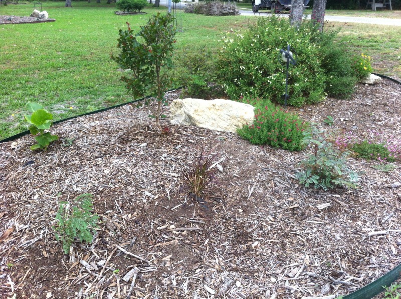 2012/00(Landscaping)/800x600_2012-04-30-6607 Conifer Cove-68.jpg
